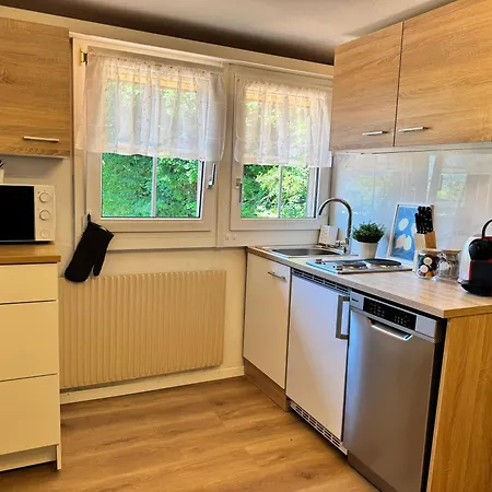 River 4-kissed Retreat With Iconic Jungfraujoch View Apartman Interlaken