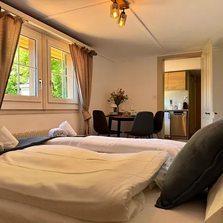 River-kissed Retreat With Iconic Jungfraujoch View Apartmán