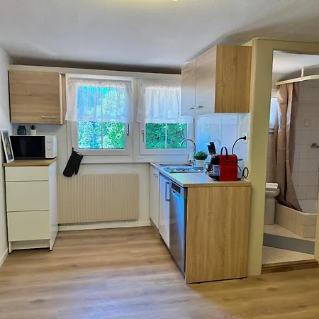 Apartman River 4-kissed Retreat With Iconic Jungfraujoch View