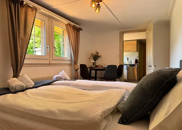 River 4-kissed Retreat With Iconic Jungfraujoch View Apartment