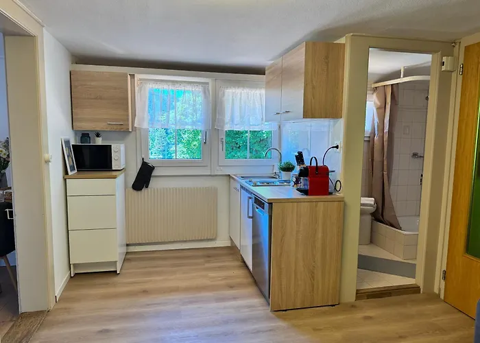 Apartment River 4-kissed Retreat With Iconic Jungfraujoch View